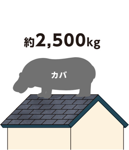 カバ 約2,500kg