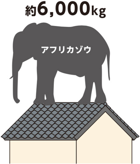 アフリカゾウ 約6,000kg